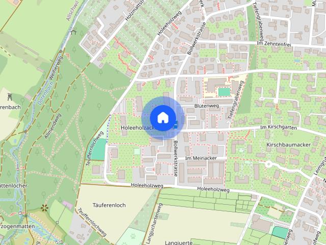 Private Basel Room near forest – free parking