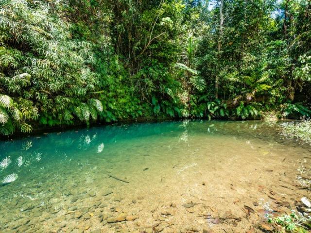 Private Cattle Property with permanent Creeks, Water Licences of 720 ML, Home, Sheds and Yards