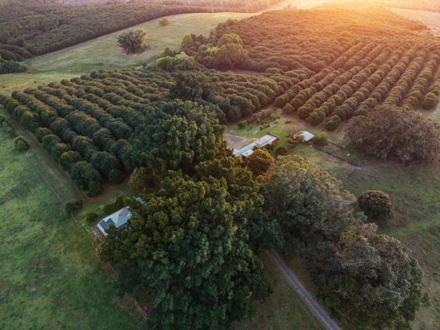 COASTAL MACADAMIA FARM SANCTUARY INCOME, LIFESTYLE & LEGACY