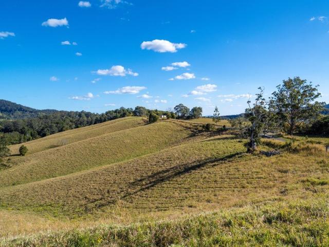 Private Creekfront Acreage in the Valla Hinterland