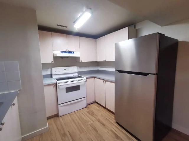 PRIVATE ENTRY! NEW PAINTING! 2 BDRMS Bungalow basement. NEXT TO SCHOOL SHOPPING