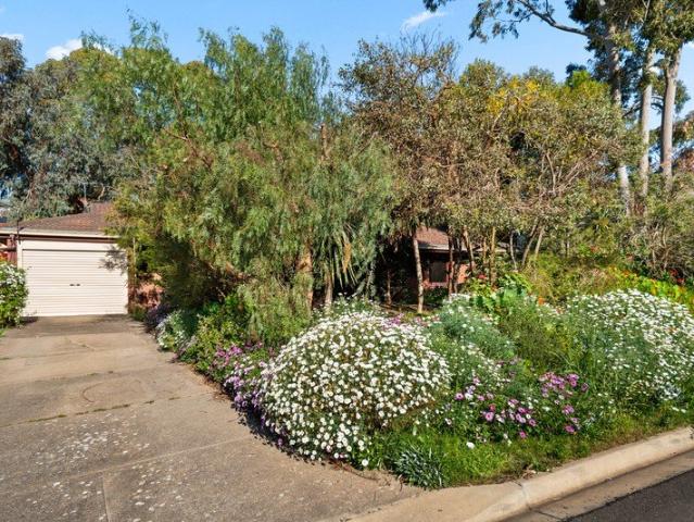 Private Family Retreat on the doorstep of Sturt Gorge.