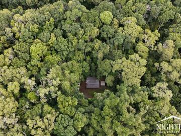 Private I Location I Rainforest