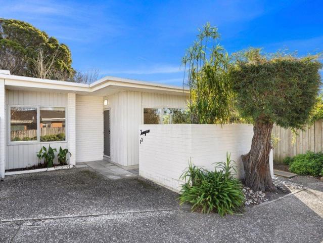 Private, Light Filled Living in the Heart of Newtown