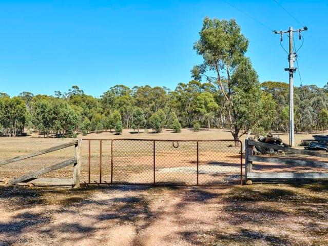 Private Lifestyle Block with Dam & State Forest Boundary