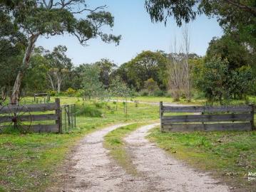 Kingston, South Australia, South Australia