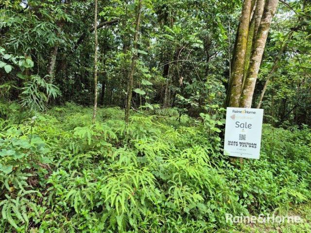 PRIVATE PEACEFUL LOCATION 5 ACRES VACANT LAND