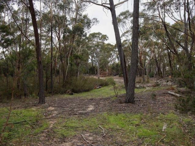 Private Playground in the Bush