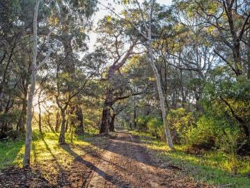 Private Rural Holding with Character, Space and Potential