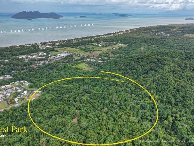 Private Rainforest Acreage Minutes from the Beach