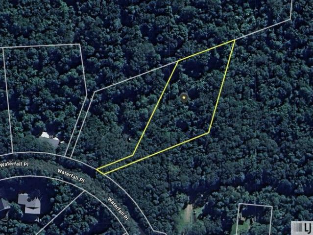Private Rainforest Sanctuary â Approx. 1 Acre in Jubilee Heights
