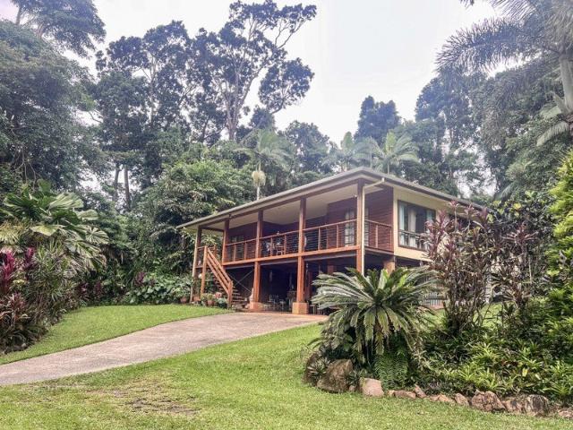 Private Rainforest Retreat with Breezes & Space !