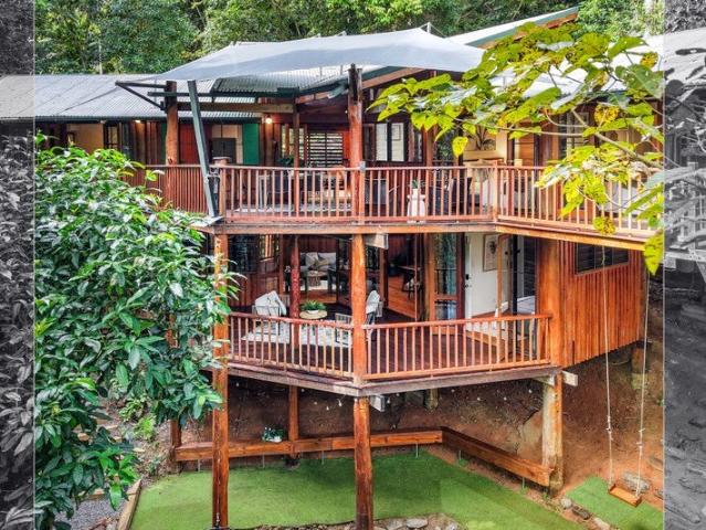 Private Rainforest Retreat by Chris Vandyke