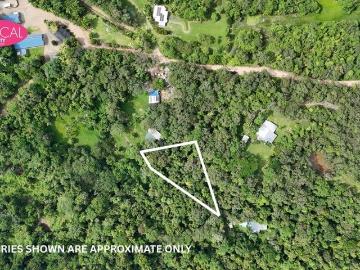 Private Rainforest Retreat Minutes from Mission Beach !