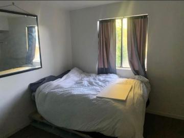 Joaquin Miller Park, Oakland city, Oakland CCD Alameda County California, Alameda County, California, USA