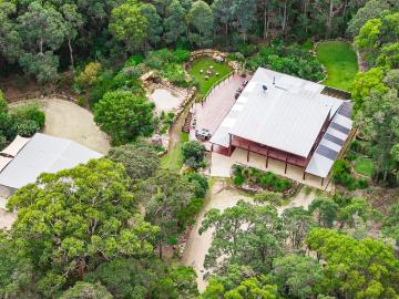 Private Sanctuary in the Forest