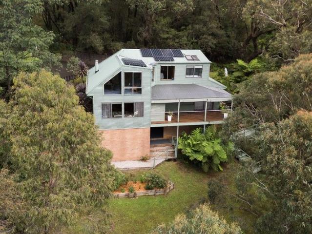 Private Treetop Sanctuary