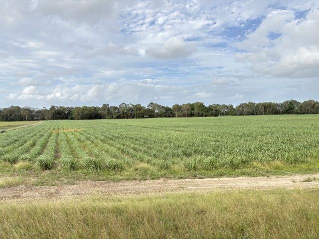 Private 46 Acre Block with Water & Potential