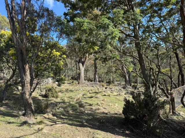 Private 42.4 Hectare Bush Retreat with Future Timber Upside
