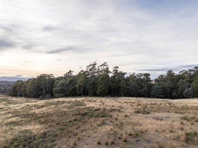 Private 59ha Holding in the Heart of the Tamar Valley