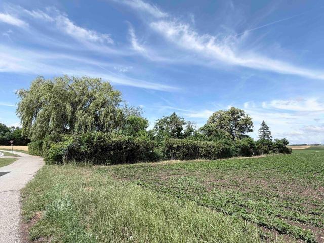 Privates Naturrefugium bei Wien – 2.340 m² parkähnlicher Garten ohne Nachbarn & mit Weitblick
