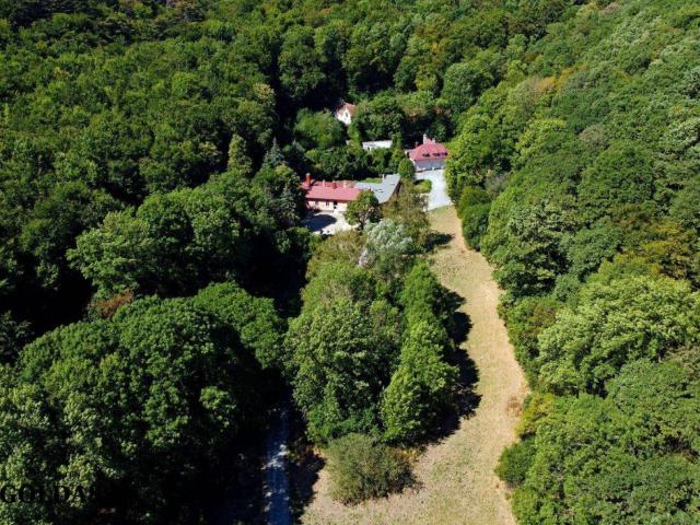 Privates Refugium in Baden & Alland – 23.000 m² Grund mit historischem Gebäudebestand
