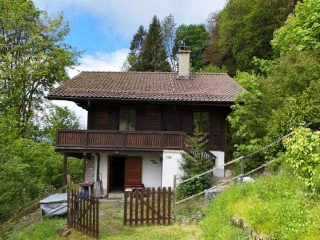 Privatperson oder Investor, Chalet mit großem Potenzial in Villars sur Ollon