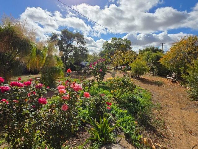 PRICE REDUCED! Generous 2023sqm Block!
