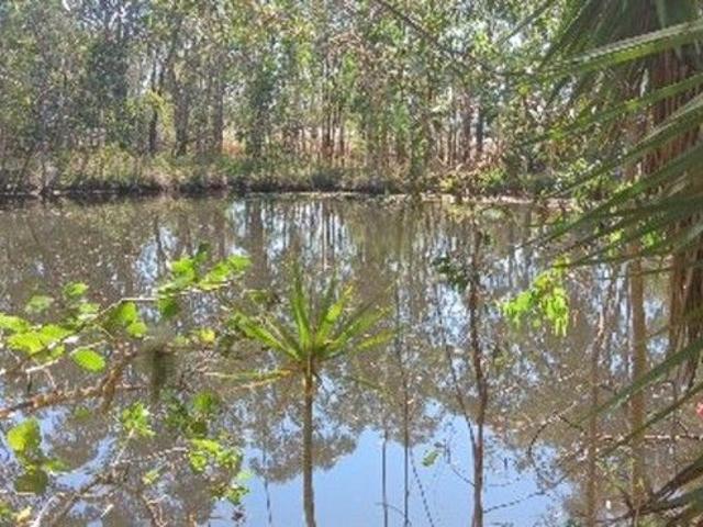 Prime 55 Acre Land Opportunity Wetlands, Wildlife, and Strategic Location
