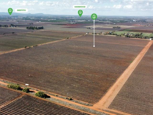 Prime 100 Acre Chardonnay Vineyard Mansell Road, Hanwood