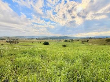 Prime 100 Acre Grazing Opportunity | 4411 Bruxner Highway, Piora