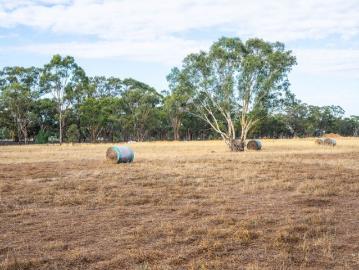 Prime 10 Acre Lifestyle Opportunity in Peaceful Bagshot