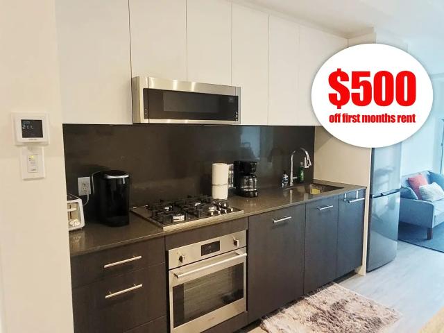 Prime 1 Bed Downtown Condo — 1 Bedroom Condo Unit