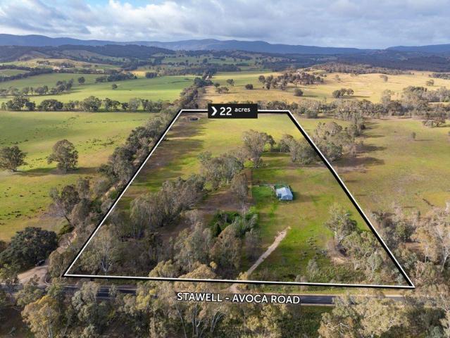Prime 22 Acre Corner Block with Working Shearing Shed