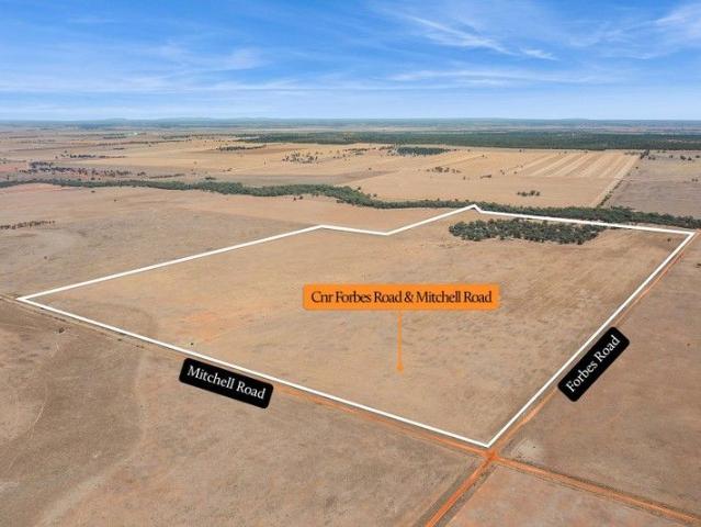 Prime 250 Acre Opportunity in Mitiamo Creek Frontage