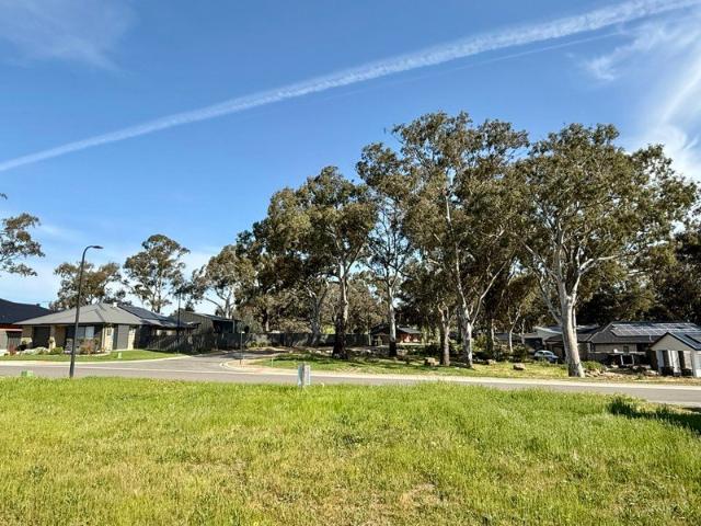 Prime Vacant Allotment in the Picturesque Dunnfield Estate