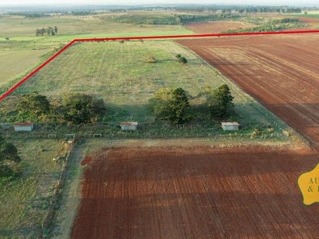 Prime Volcanic Red Soils Cropping, Cattle & Country Lifestyle reduced price