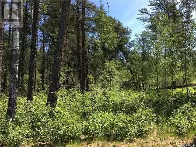 Prime Acreage Parcel 3.81 Acres, Nipawin Rm No. 487, SK, S0E 1.