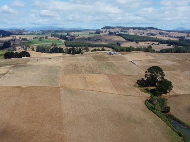 Prime Agricultural Land on the Coast