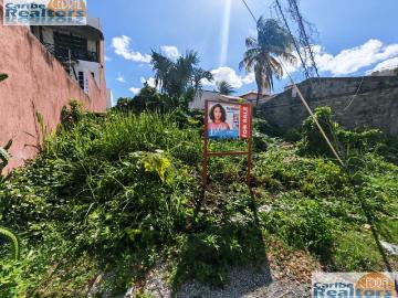 Prime Buildable Lot in Sought After 20th Avenue, Corpus Christi, Cozumel