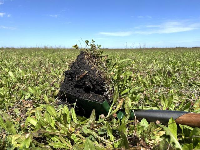 Prime Cropping and Grazing Opportunity