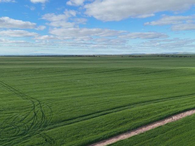 PRIME CROPPING COUNTRY