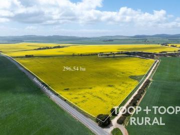 Manoora, Clare And Gilbert Valleys, Goyder, South Australia, South Australia