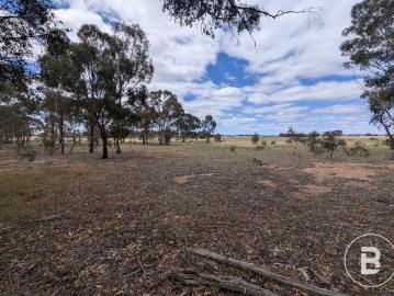 PRIME GOLDFIELDS FARMING ALLOTMENT: EXPANSIVE ACREAGE MINUTES FROM HiISTORIC BEALIBA