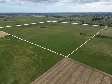 Prime Grazing / Outpaddock Opportunity