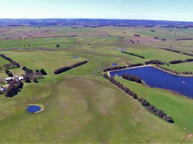 Prime Grazing Opportunity at 'Boobalaga'