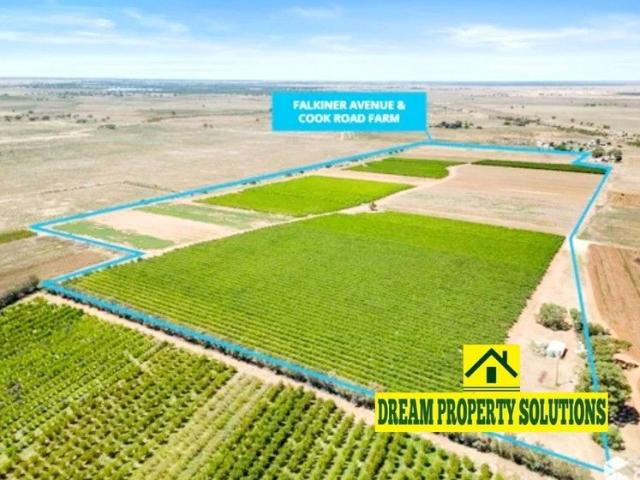Prime Irrigated Horticultural & Viticultural Opportunity in the Heart of Tresco