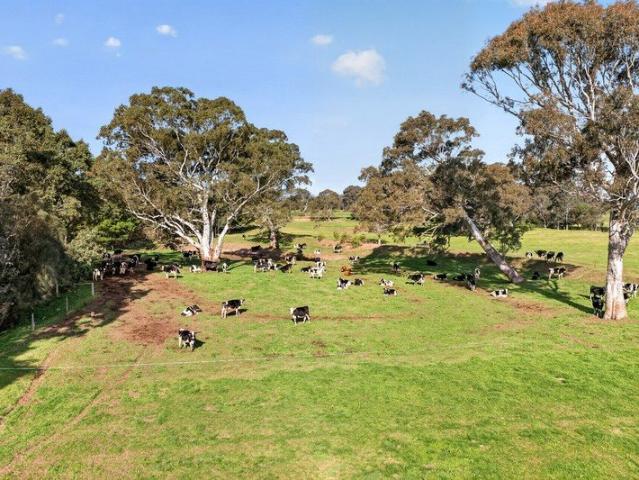 Prime Irrigation Holding