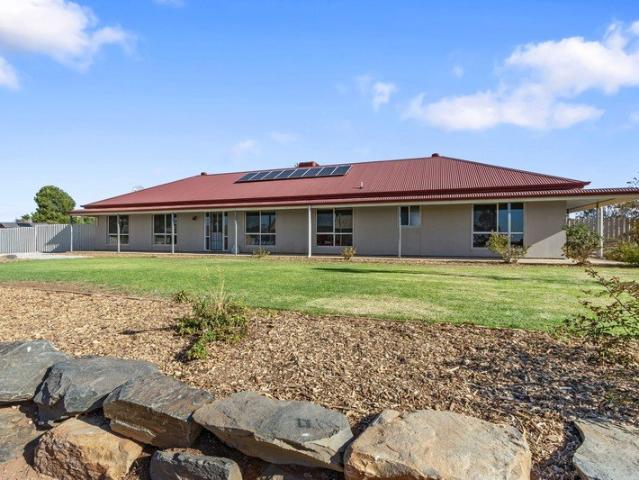 Prime Land Opportunity in Sedan