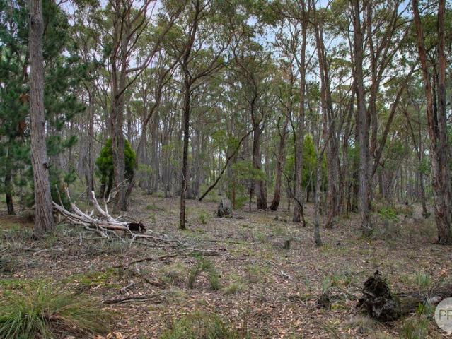 Prime Land Opportunity Surrounded by Nature